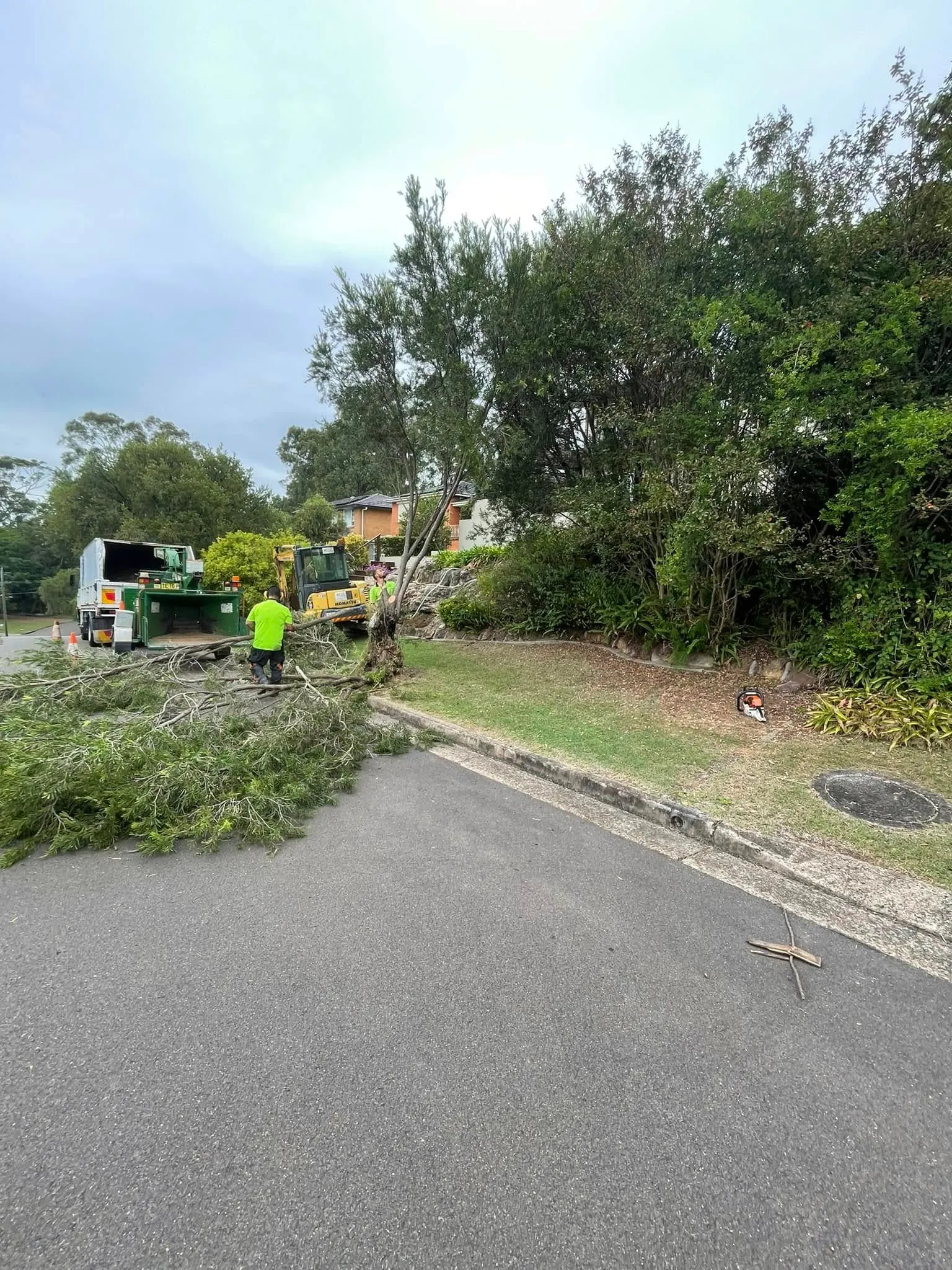 tree service