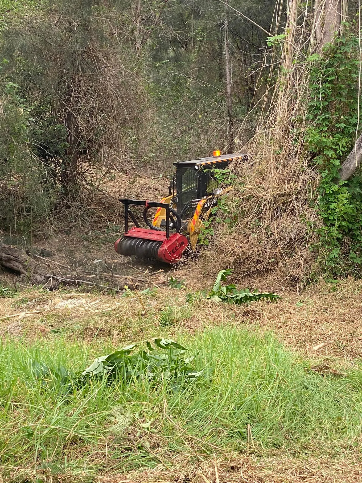 Land Clearing