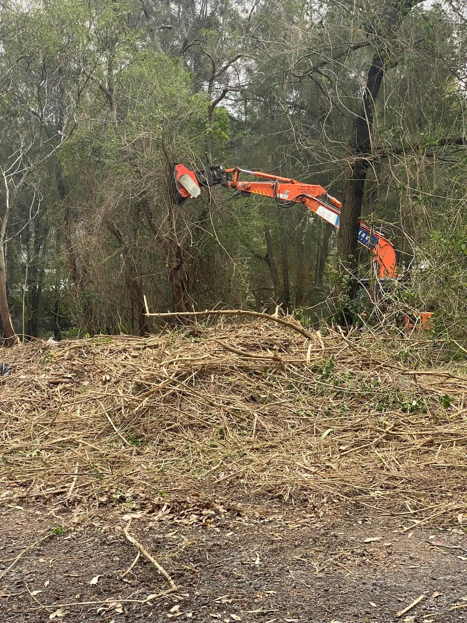 Land Clearing Mid North Coast